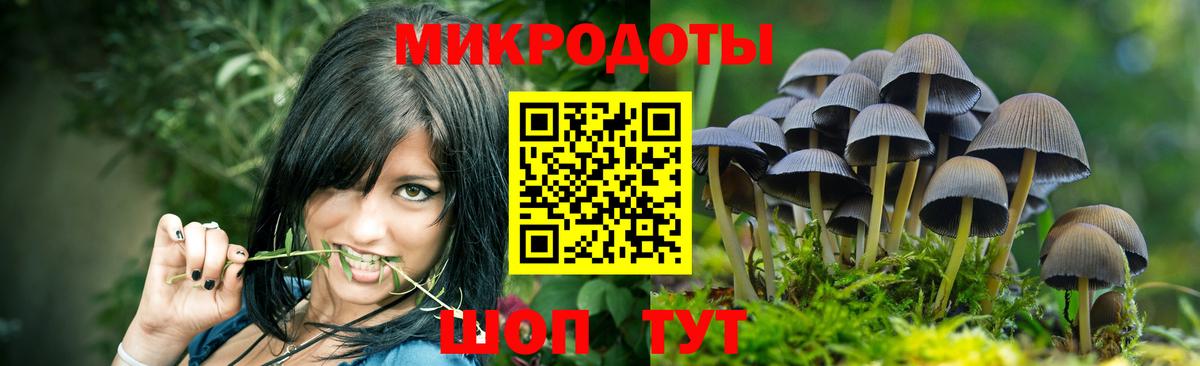 Псилоцибиновые грибы Psilocybine cubensis  Вход с VPN  Щёлково 