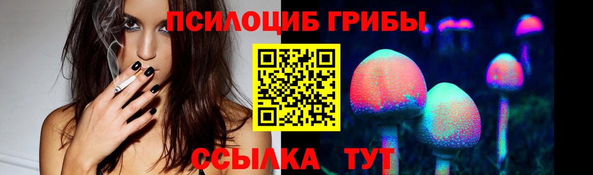 Галлюциногенные грибы Cubensis Щёлково